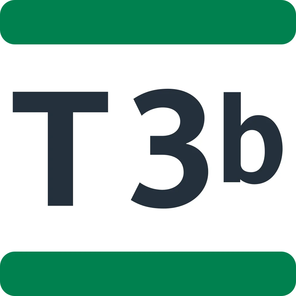 Tramway T3b